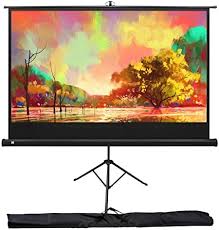 Epson Duet 80-inch Mobile Projection Screen